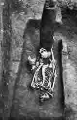 Zagonetka �elarevo 