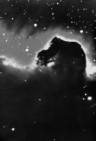 Sazve��e �Konjske glave� 