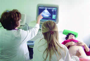 Prof. dr Ida Jovanovi� i docent dr Aleksandar Ljubi�