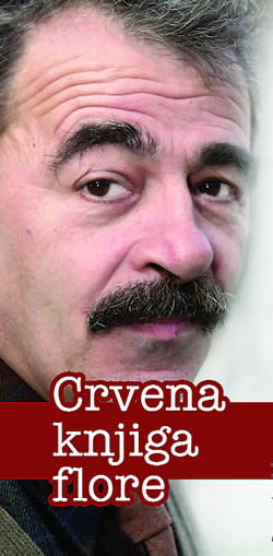 Prof. dr Vladimir Stevanovi�