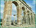 Volubilis 