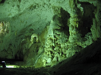 Dr Radenko Lazarevi�