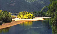 Reka Drina 