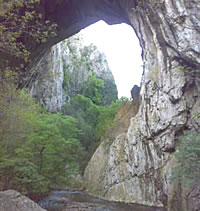 Vratna, sa prerastima