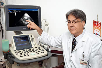 Branko Biberd�i�