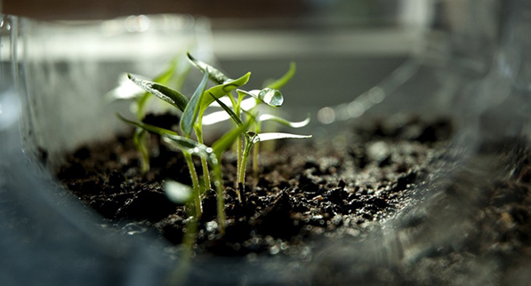 ISTRAŽIVANJE SVEMIRA